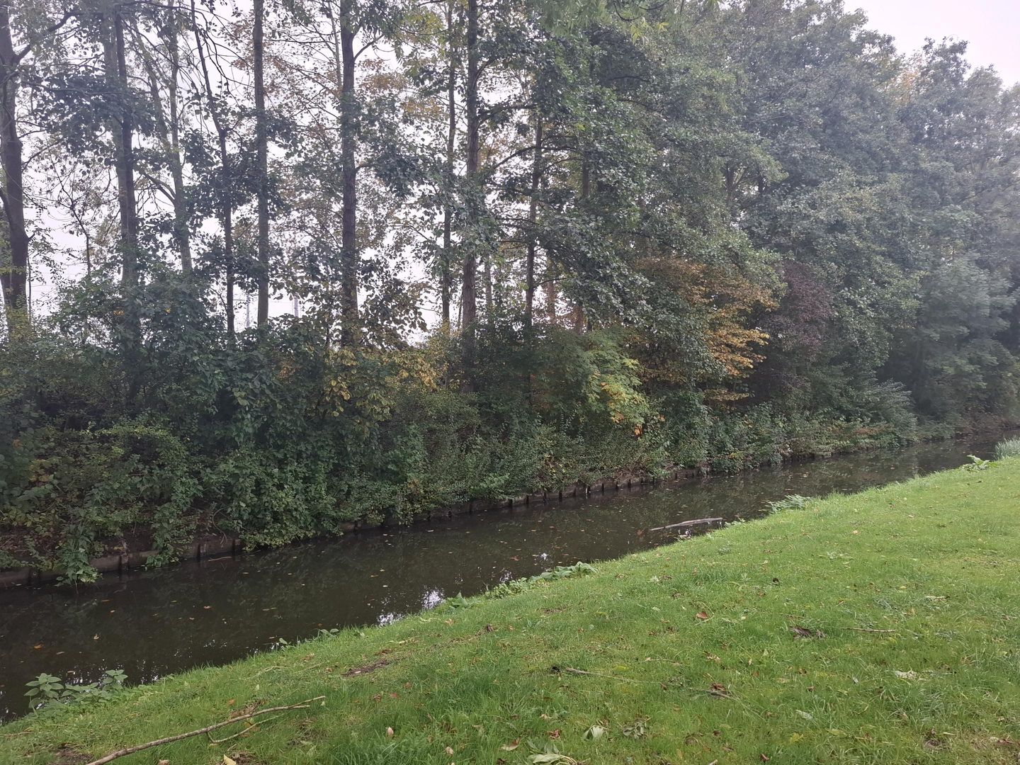 Foto 14 van Hindersteinstraat 81