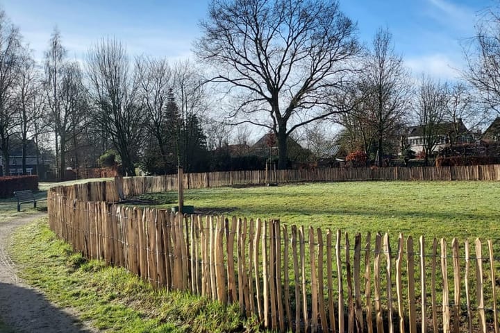 Photo 54 of Betelgeuze 2