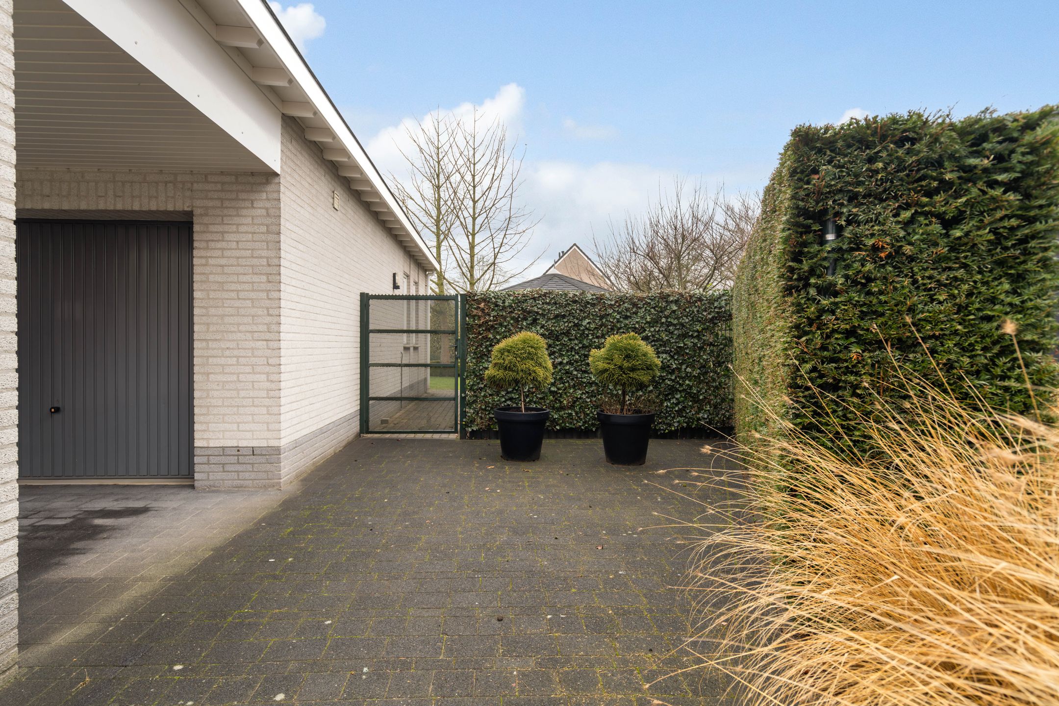 Foto 54 van Standaardmolen 19