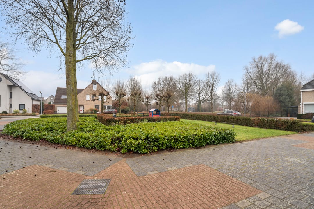 Foto 58 van Standaardmolen 19