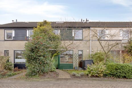 undefined main image