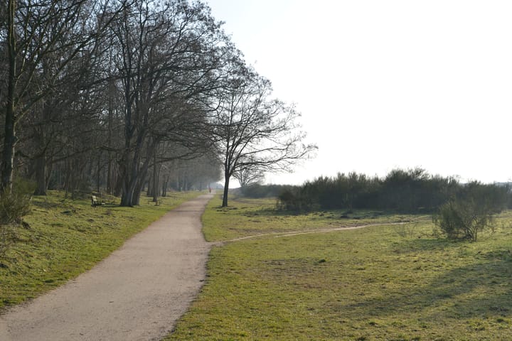 Foto 17 van Banckertlaan 225