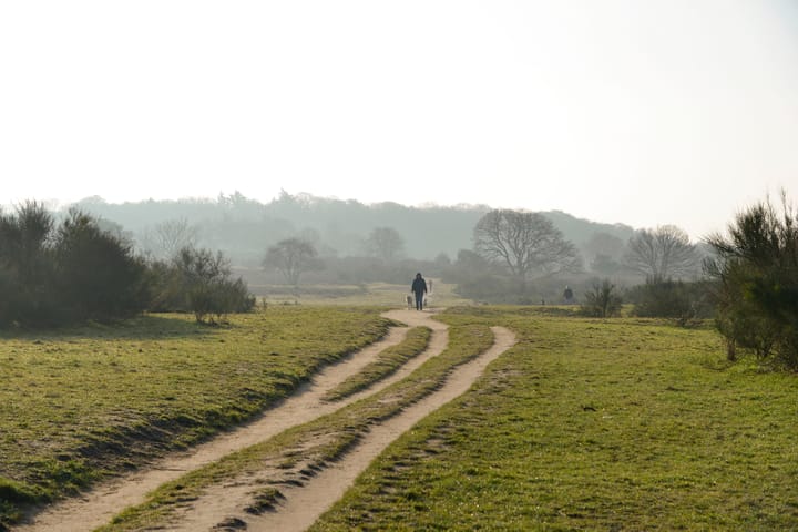 Foto 18 van Banckertlaan 225