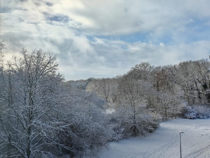 Foto 20 van Banckertlaan 225