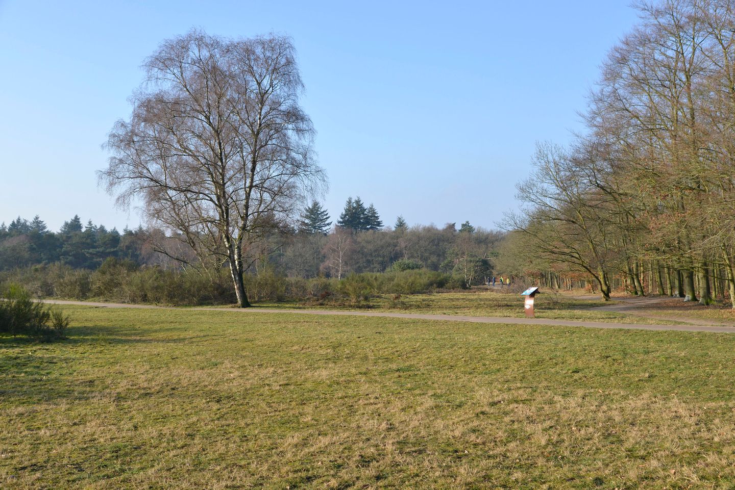 Foto 19 van Banckertlaan 225