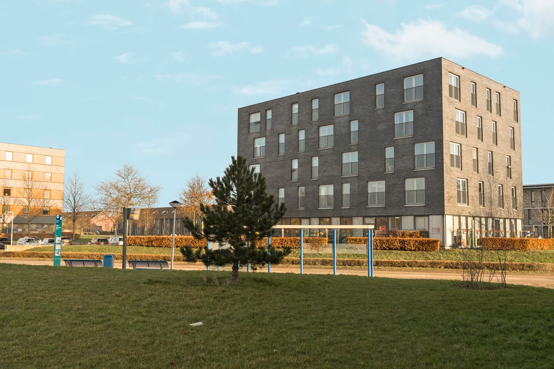 Photo 88 of Bramzeil 3