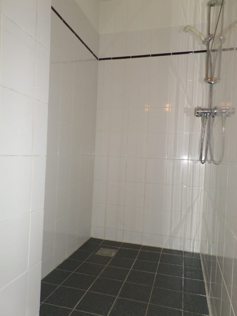 Foto 17 van Buizerdlaan 97