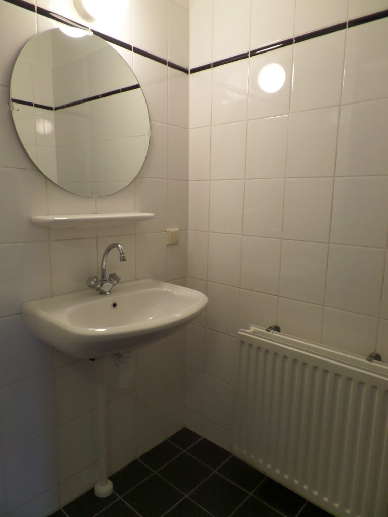 Foto 18 van Buizerdlaan 97