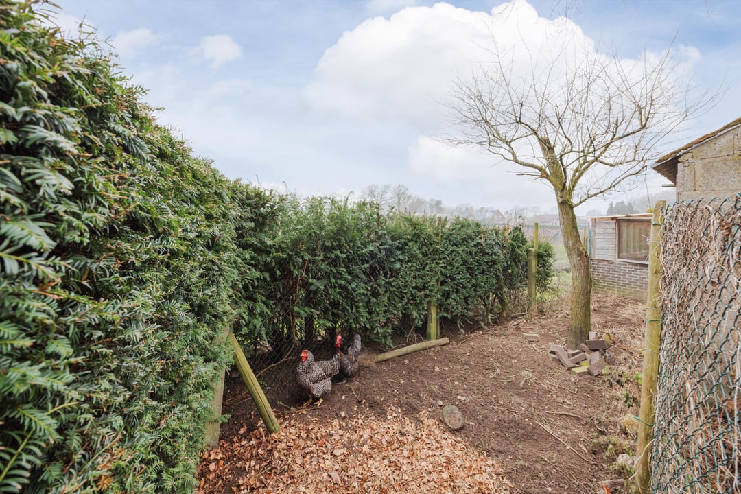 Photo 38 of Wielder 7