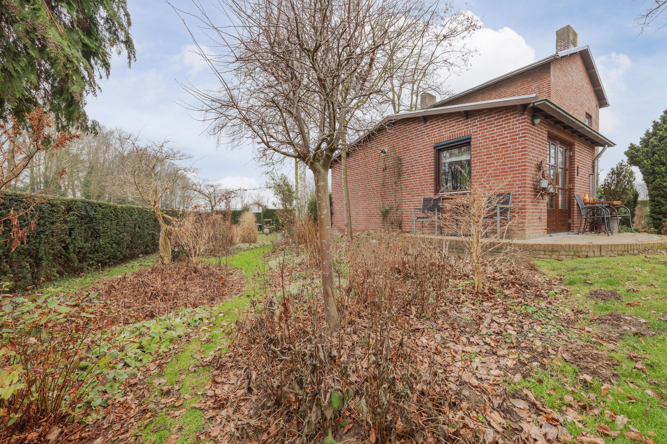 Photo 39 of Wielder 7