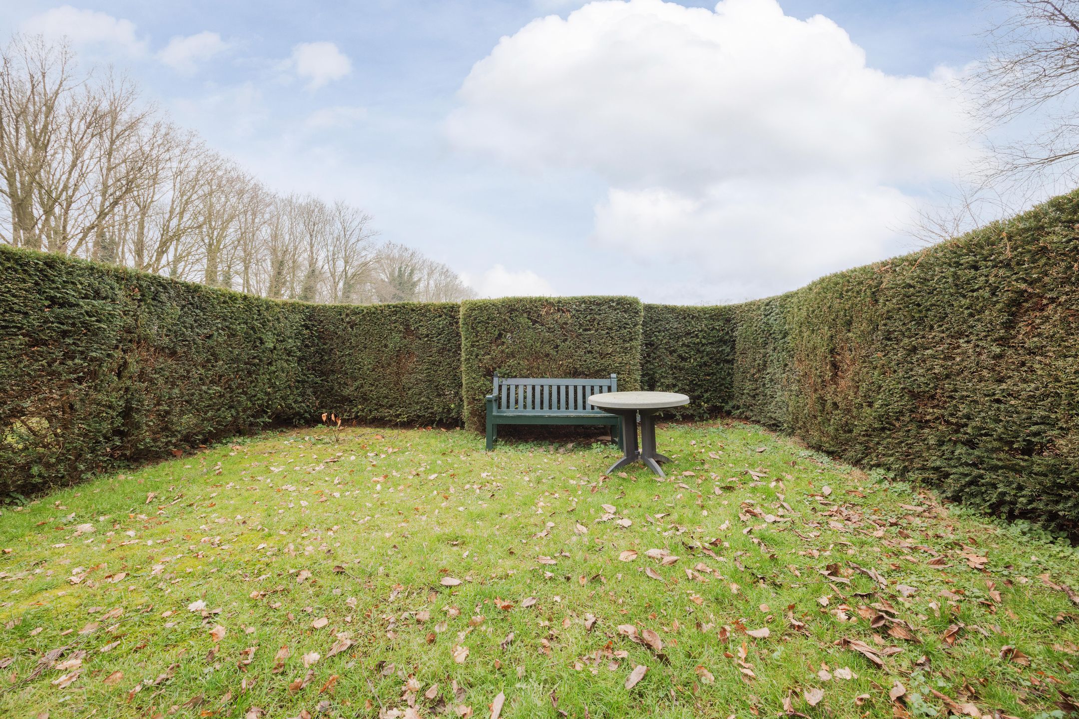 Photo 42 of Wielder 7