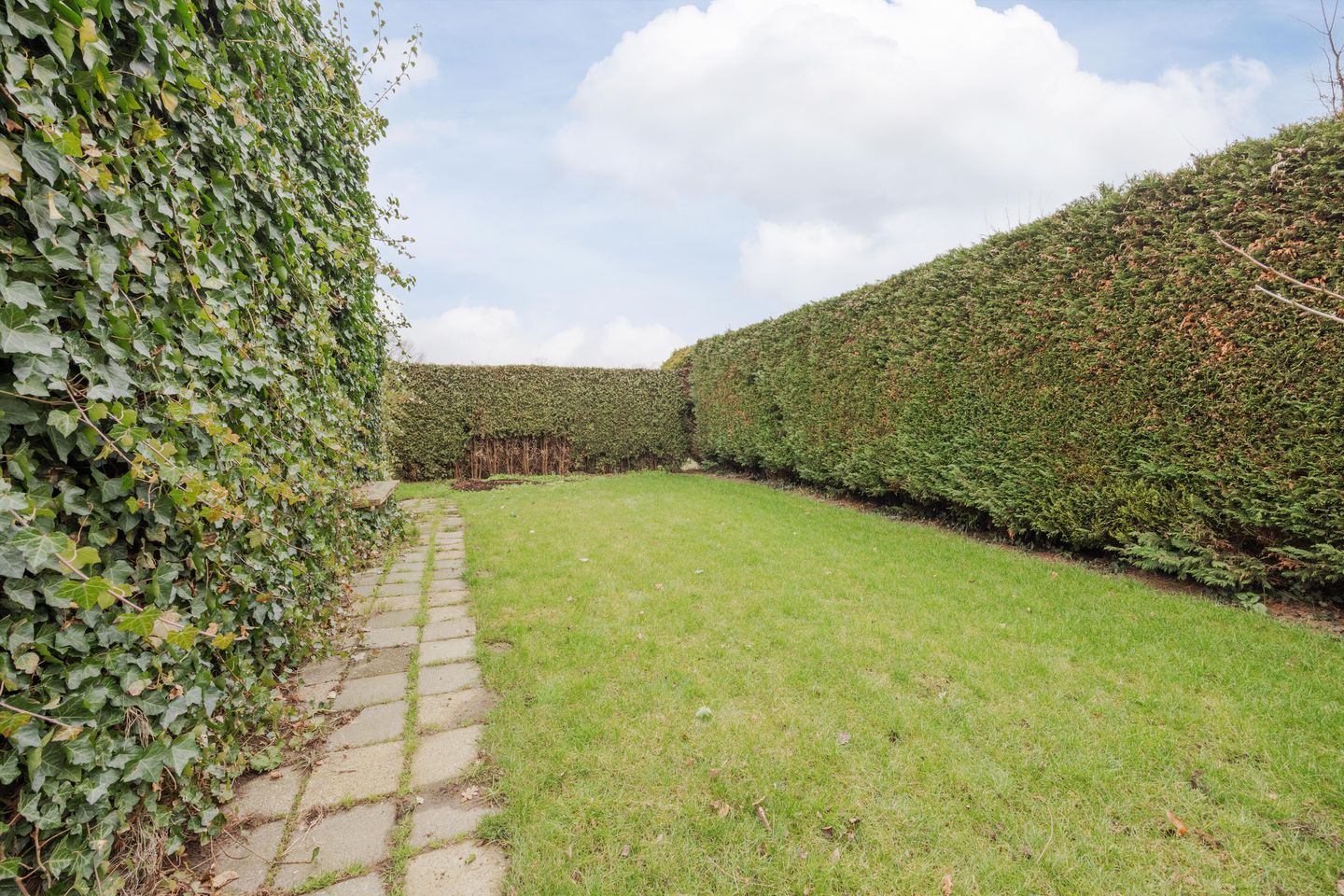 Photo 44 of Wielder 7