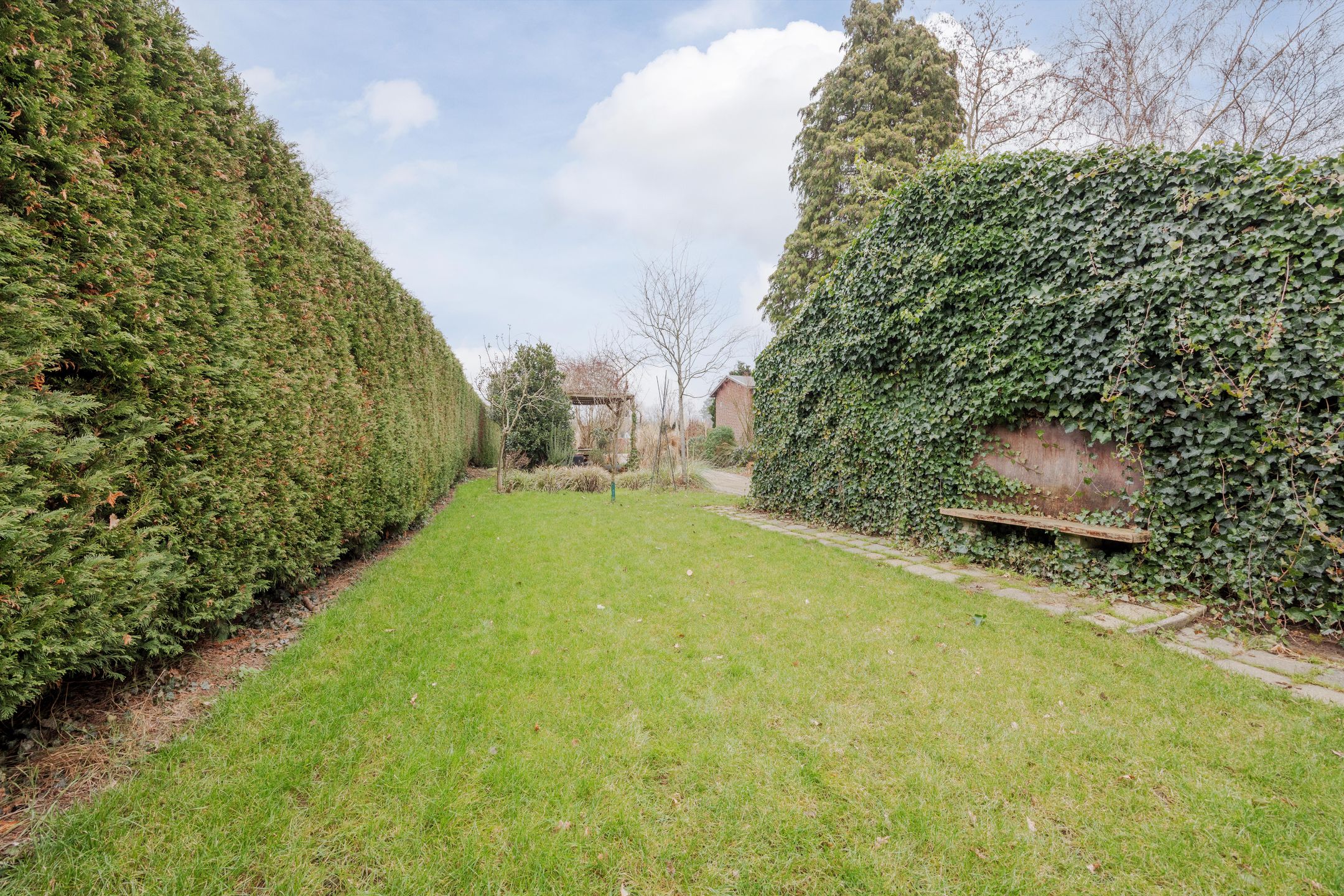 Photo 45 of Wielder 7