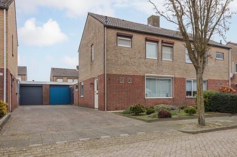 undefined main image