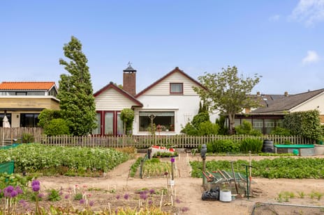 Meeuwenlaan thumbnail