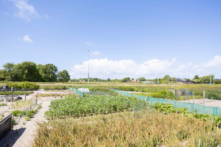 Foto 4 van Meeuwenlaan 7