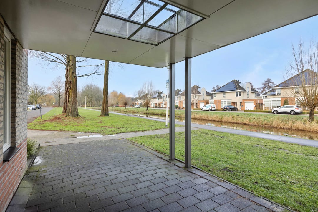 Foto 8 van Sleutelbloem 12