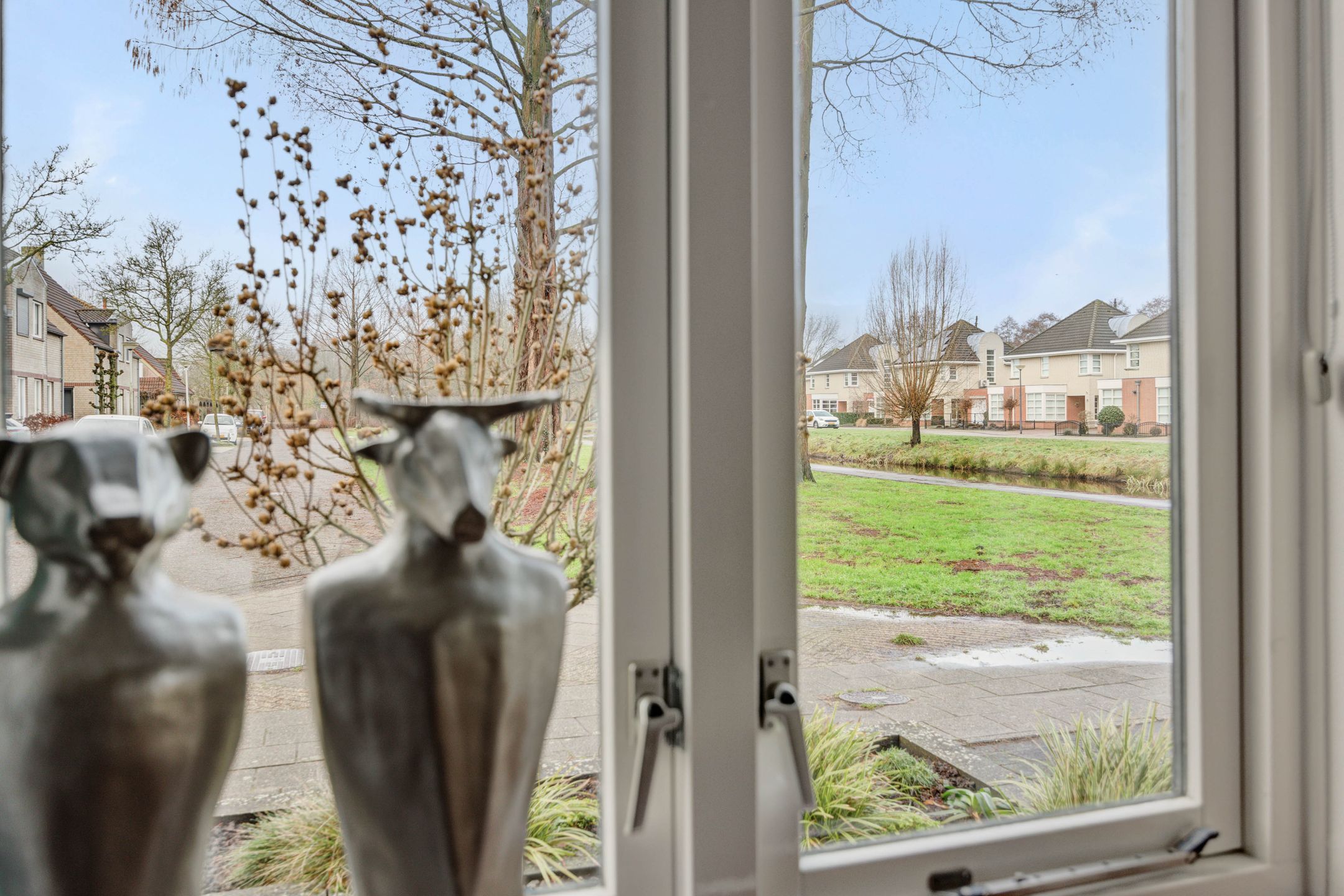 Foto 30 van Sleutelbloem 12