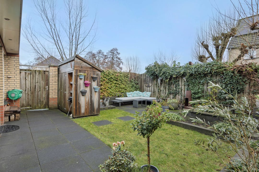 Foto 41 van Sleutelbloem 12