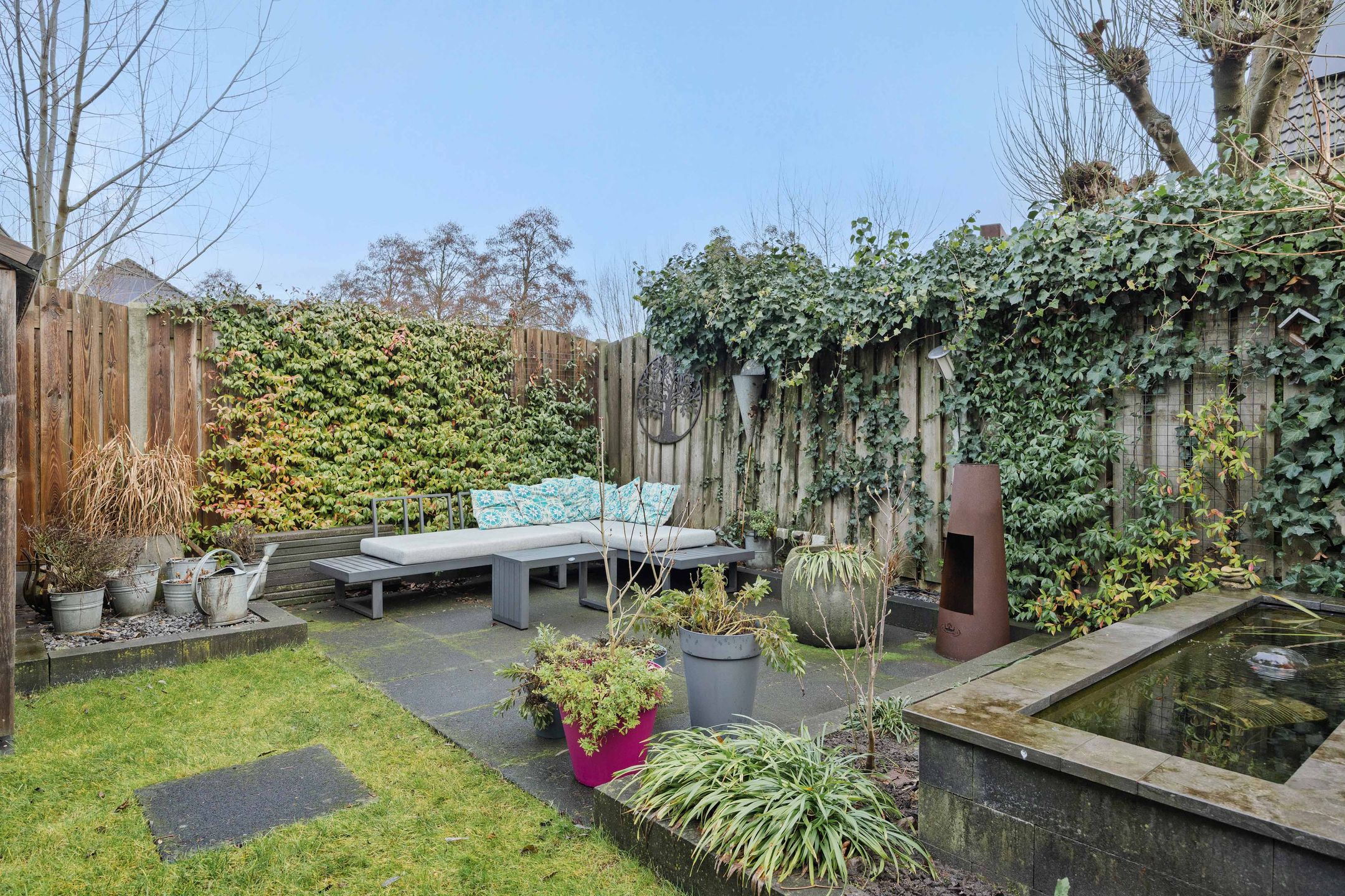 Foto 42 van Sleutelbloem 12