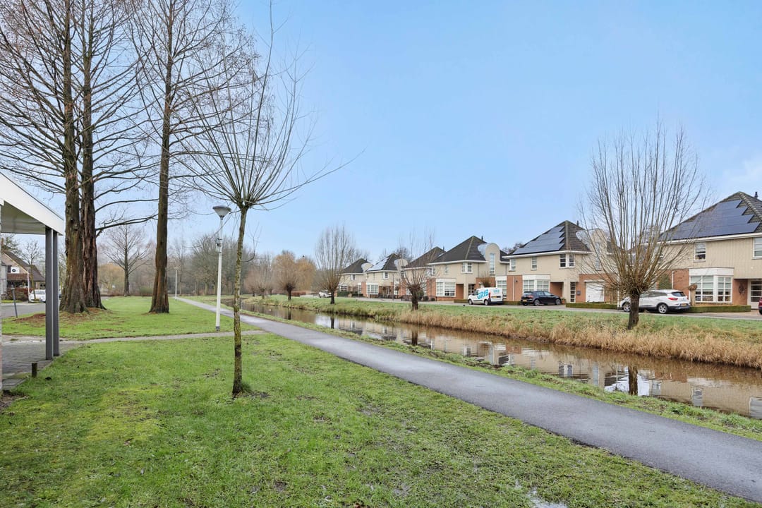 Foto 46 van Sleutelbloem 12