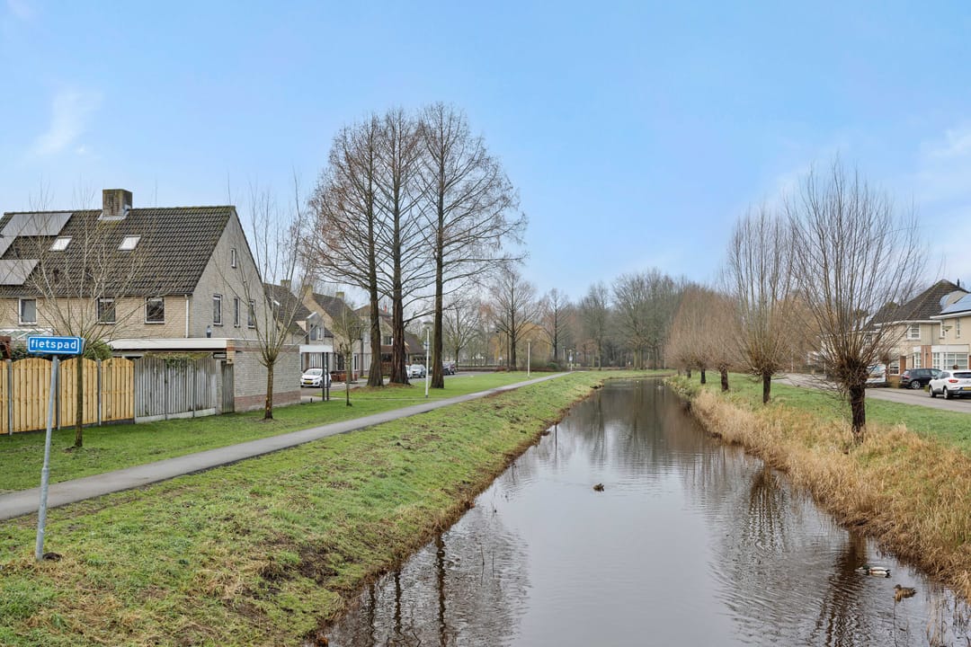 Foto 47 van Sleutelbloem 12