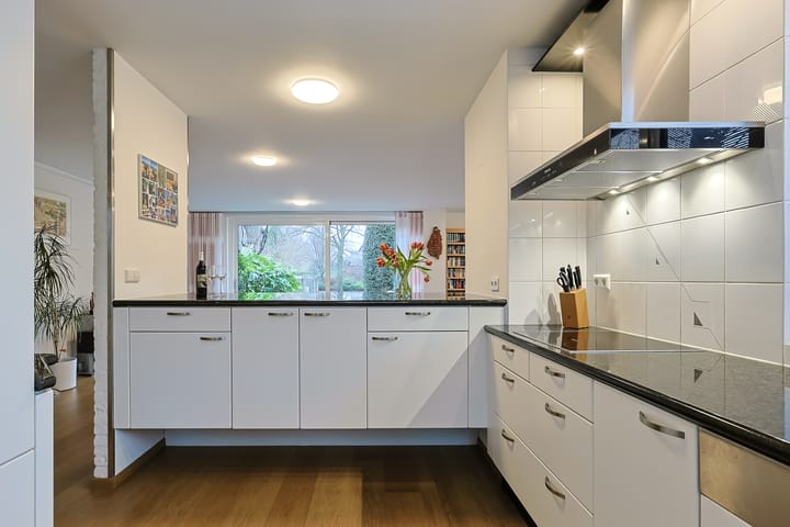 Foto 14 van Domela Nieuwenhuislaan 9