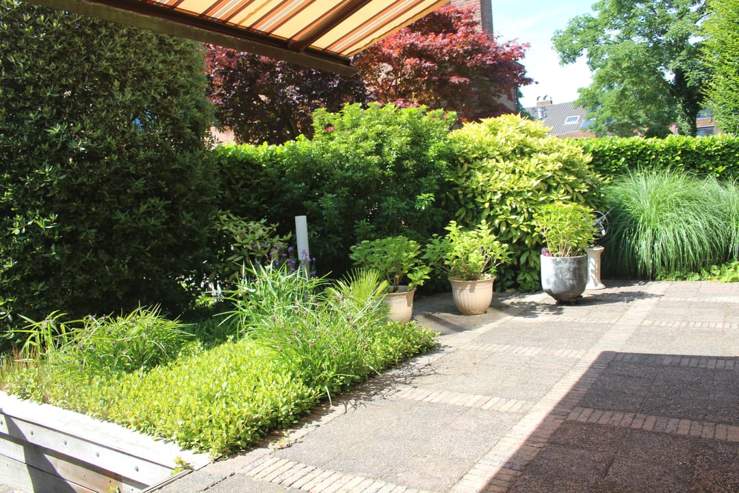 Foto 46 van Domela Nieuwenhuislaan 9