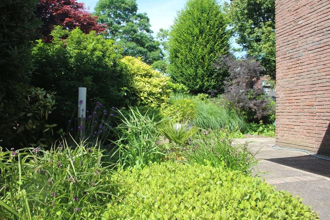 Foto 47 van Domela Nieuwenhuislaan 9