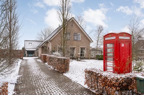 undefined main image