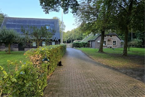 undefined main image