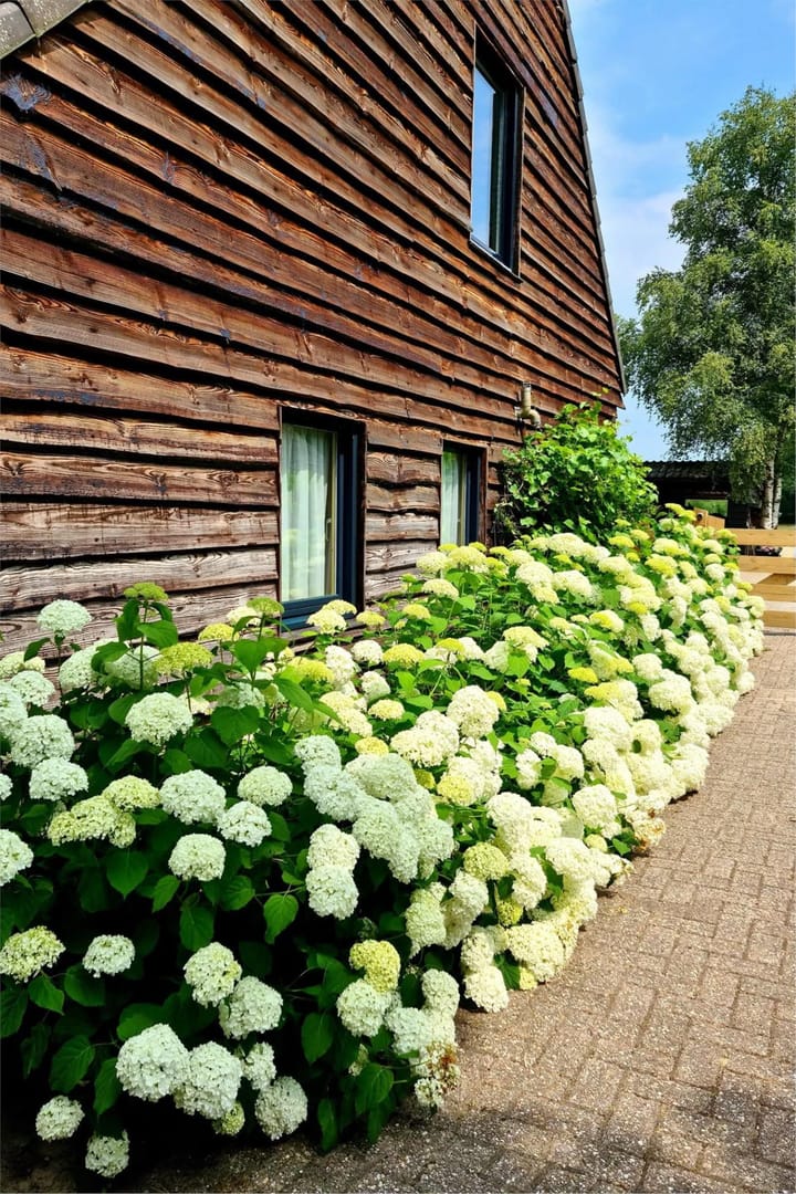 Foto 16 van Galgenkamp 1