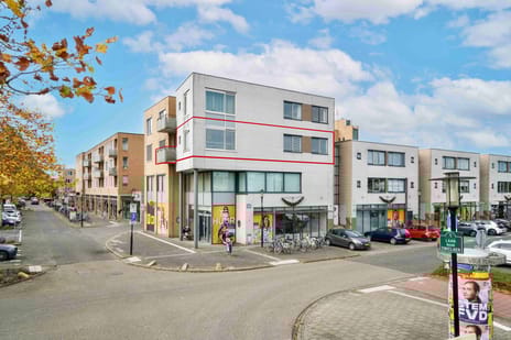 undefined main image