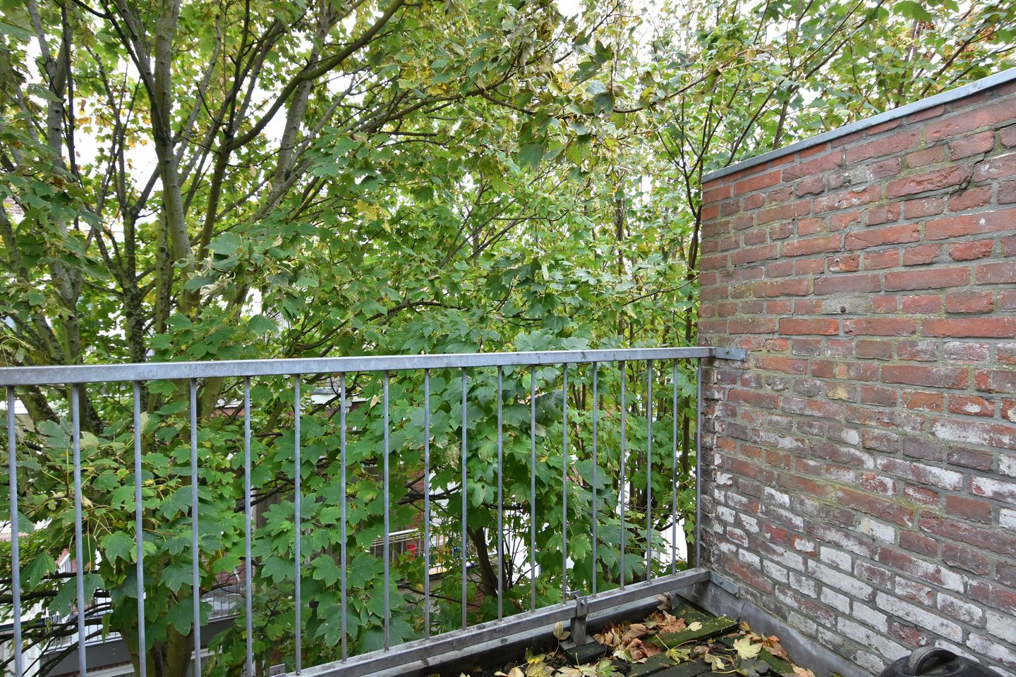 Foto 19 van Cartesiusstraat 282