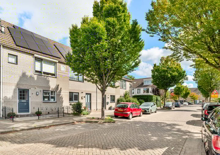 Foto 7 van Watermunt 3