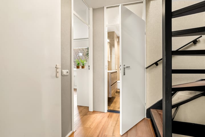 Foto 45 van Watermunt 3