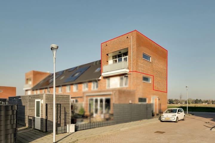 Johan van Gheelborg 18 main image