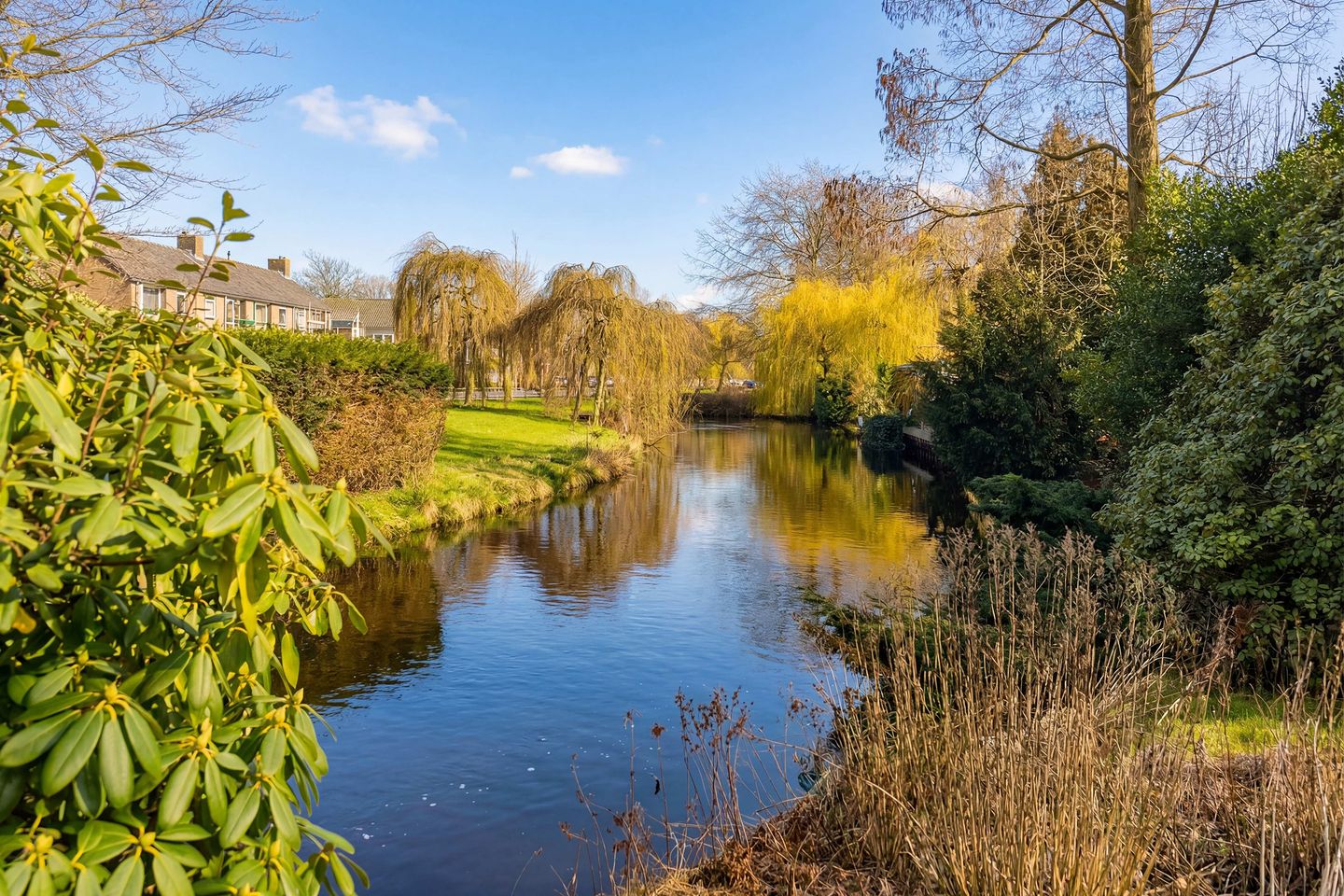 Photo 49 of Olympiaweg 38