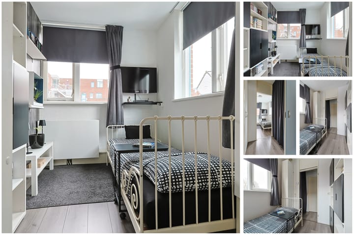 Photo 19 of Stuifzwam 78