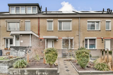 Anemoonlaan thumbnail