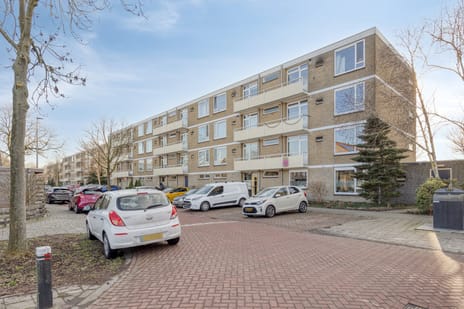 Cederstraat thumbnail