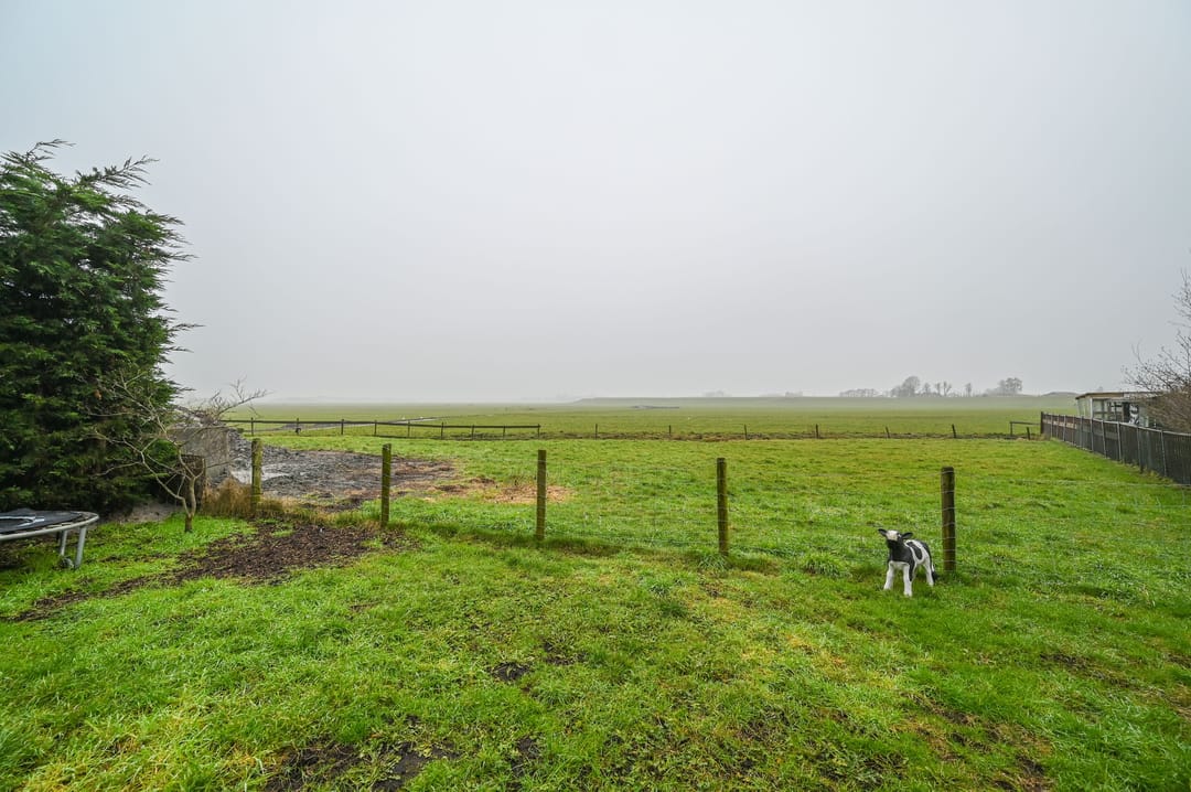 Photo 47 of Waverdijk 12