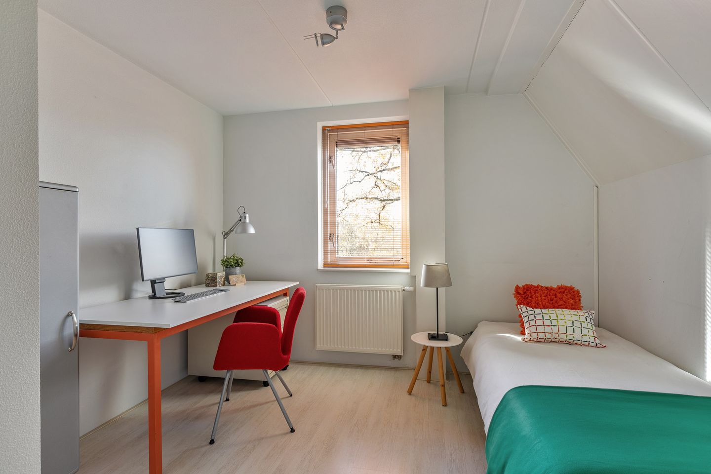 Foto 19 van Kroeskarperstraat 68