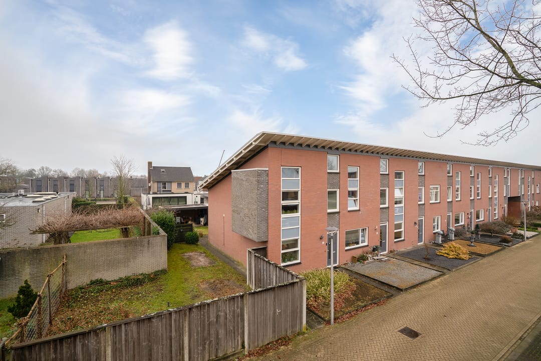 Foto 1 van Kolibrievlinder 25
