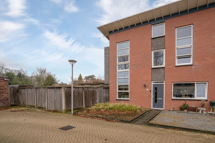 Foto 5 van Kolibrievlinder 25