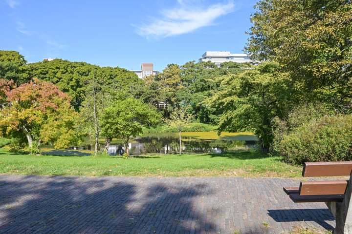 Foto 41 van Alexander Gogelweg 75-A