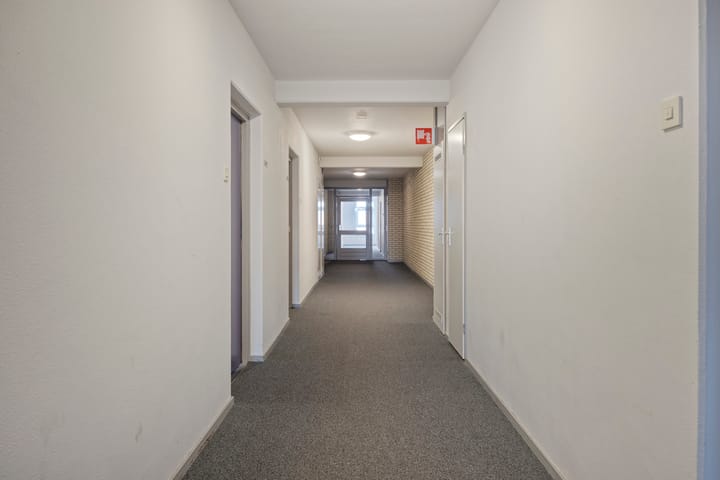 Foto 5 van Roserije 245-C