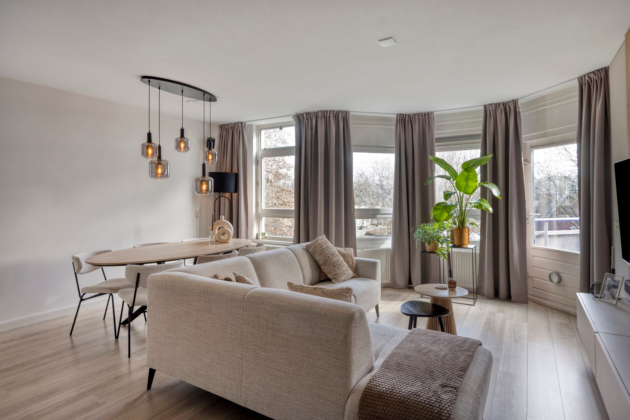 Foto 12 van Roserije 245-C