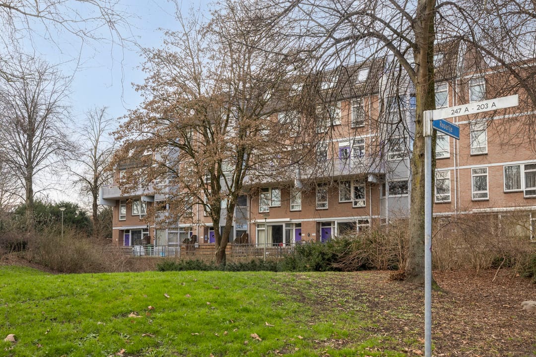 Foto 37 van Roserije 245-C