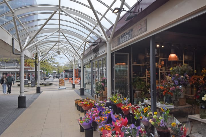 Foto 35 van Jhr. Carel Sternplein 27